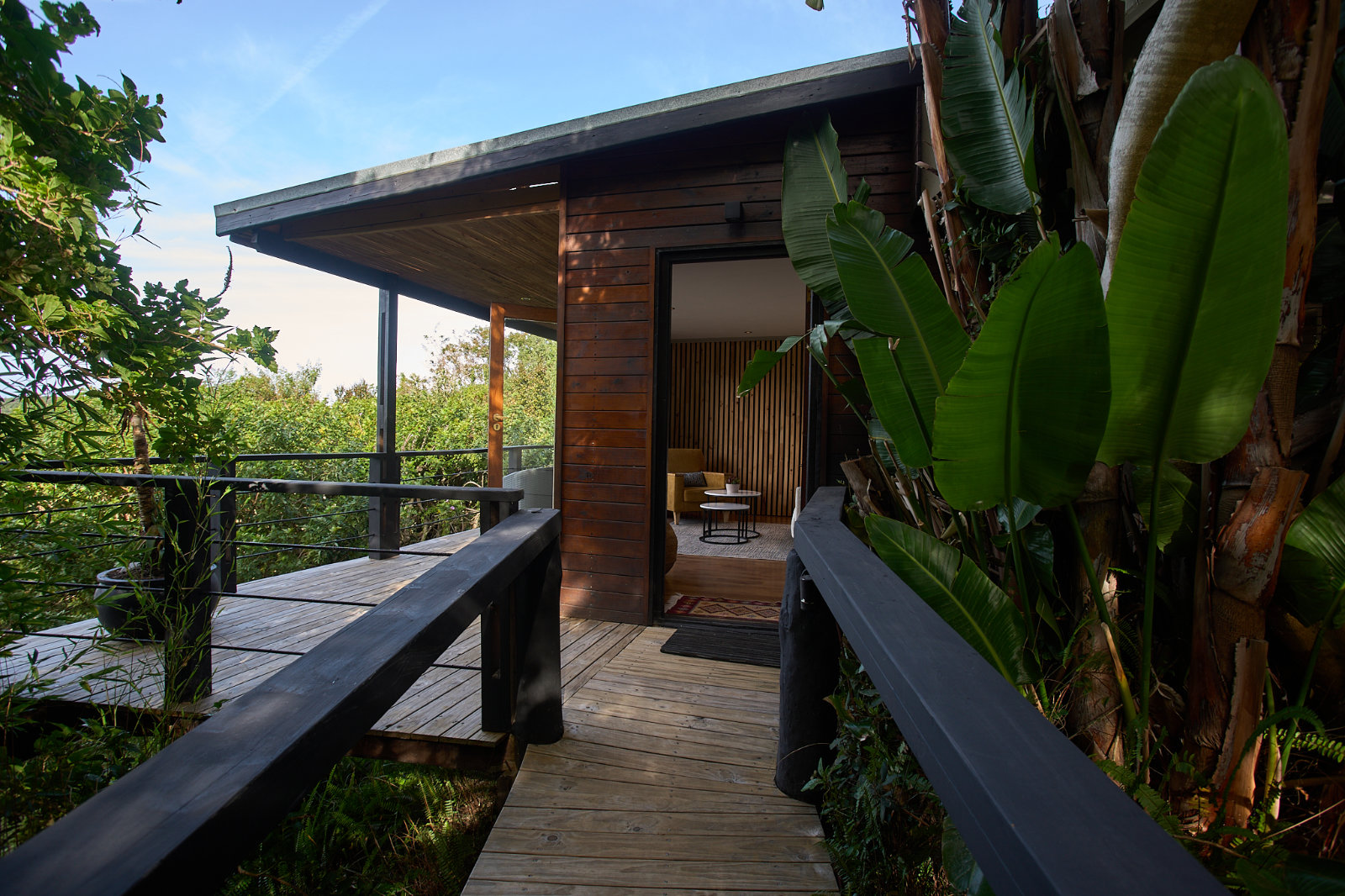 The approach to Hog Hollow Country Lodge through indigenous forest